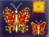 Life of Butterflies<br>1971